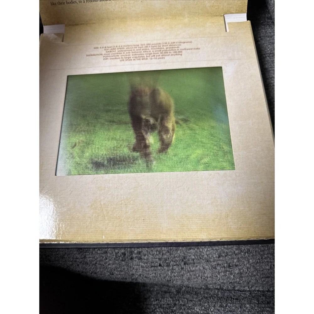Polar/ Safari Photicular Book  Book Lot Holographic?